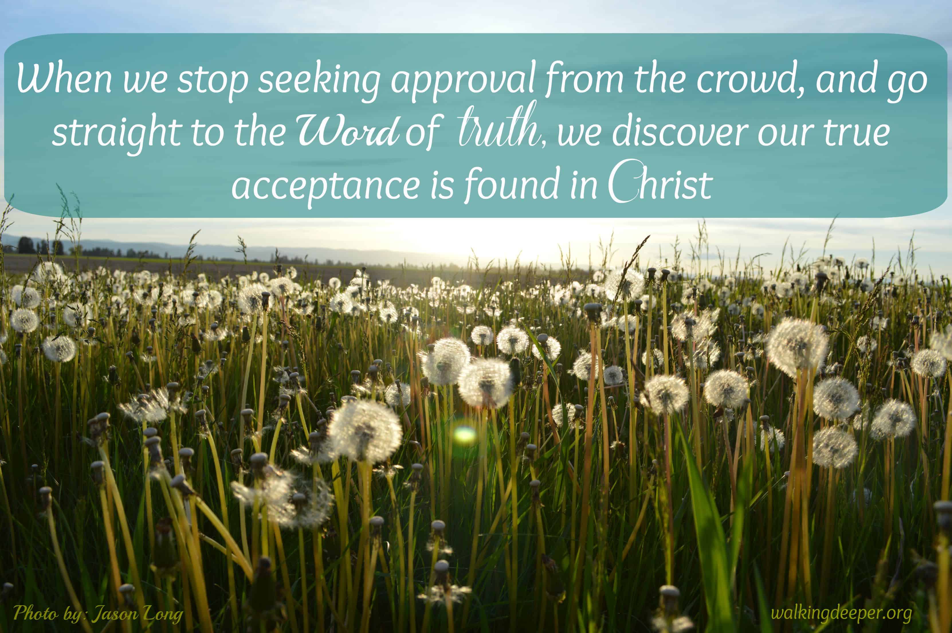 Whose Approval Are We Seeking?