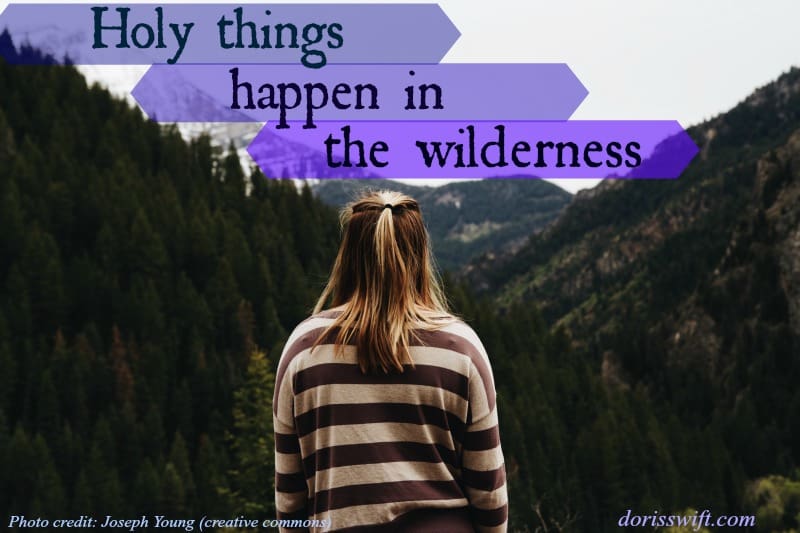 What Happens in the Wilderness?